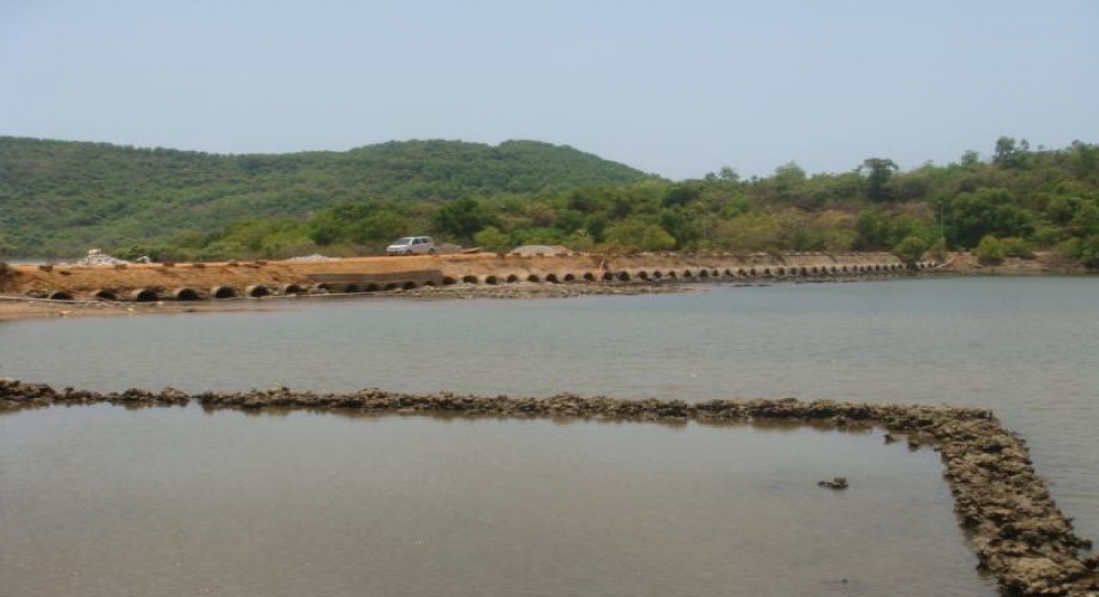 COFFER DAM AND INFRASTRUCTURE WORKS PROJECT – SEABIRD